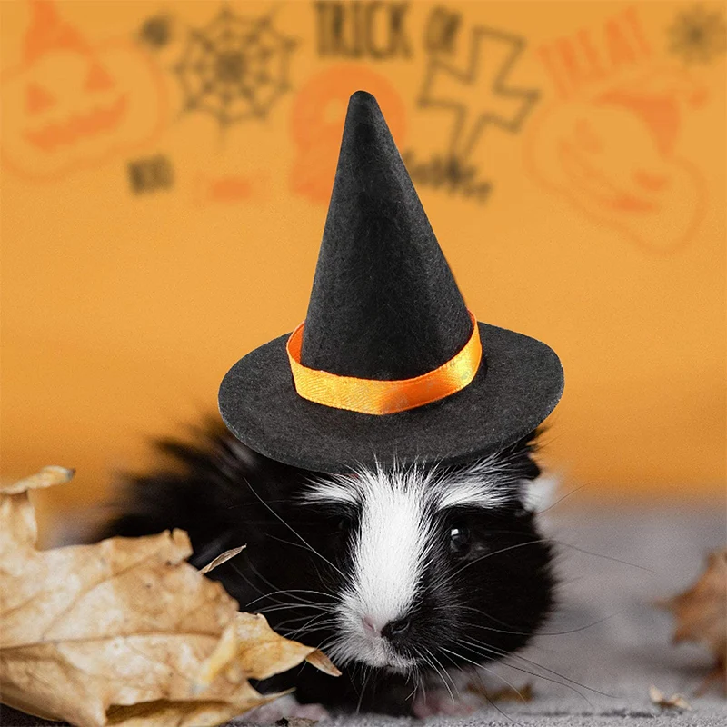 Silkfly 12 Pcs Hamster Hats Mini Hats For Snakes Small Animals Guinea Pig Hamster Clothes For Lizards Bearded Dragons Holiday Party Costume Accessories(Cute