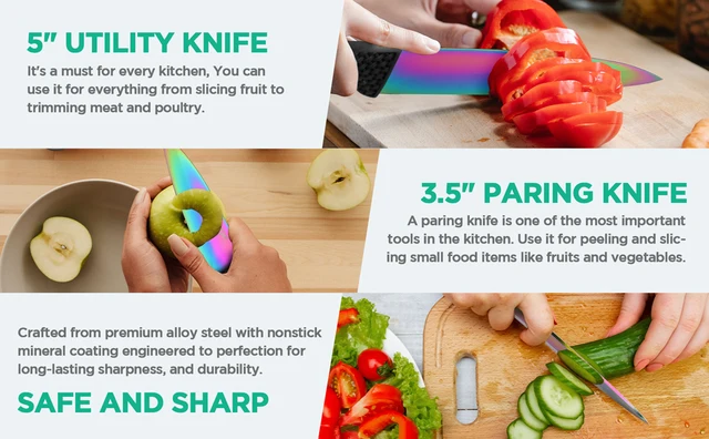 HAUSHOF Kitchen Knife Set, 5 Piece Rainbow Knife Sets with Block, Premium Steel Knives Set for Kitchen with Ergonomic Handle, Great for Slicing