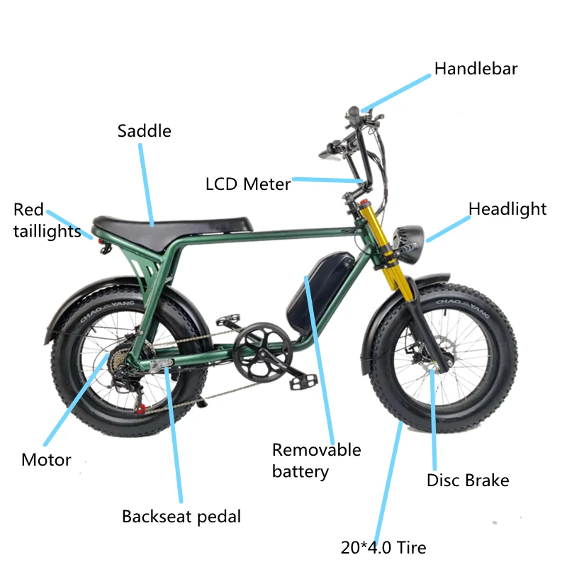RoadAcc Electric Motorcycle Bicycle 48V 500W 1000W 13AH Aluminum Alloy Dual Crown Suspension Fork Electric Fat Tire Bike