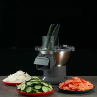 Commercial Potato Shredder, Small Carrot Slicer, Directional Vegetable Cutter, Potato Shredder, Electric Garlic Slicer 2