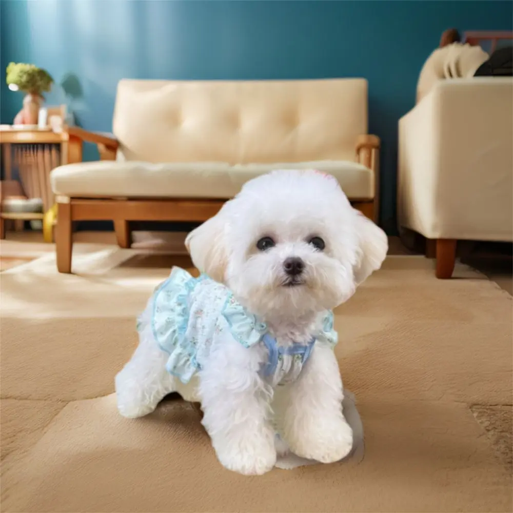 Summer Dog Dress 1