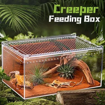 Transparent Reptile Breeding Terrarium 1