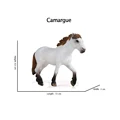 Camargue 3