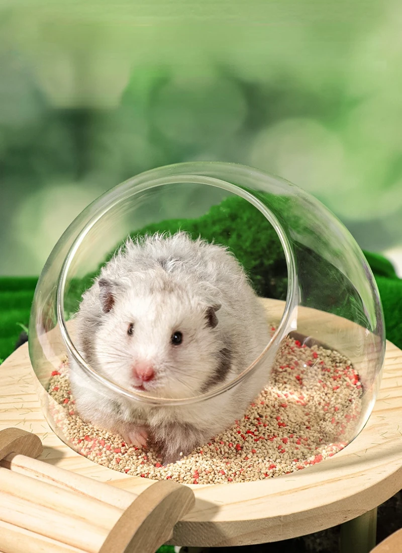 Hamster Bath House with Wooden Ladder Bridge Easy to Clean Climbing Toy Hamster Bathroom Glass Shower Container for Safe Bathing 2