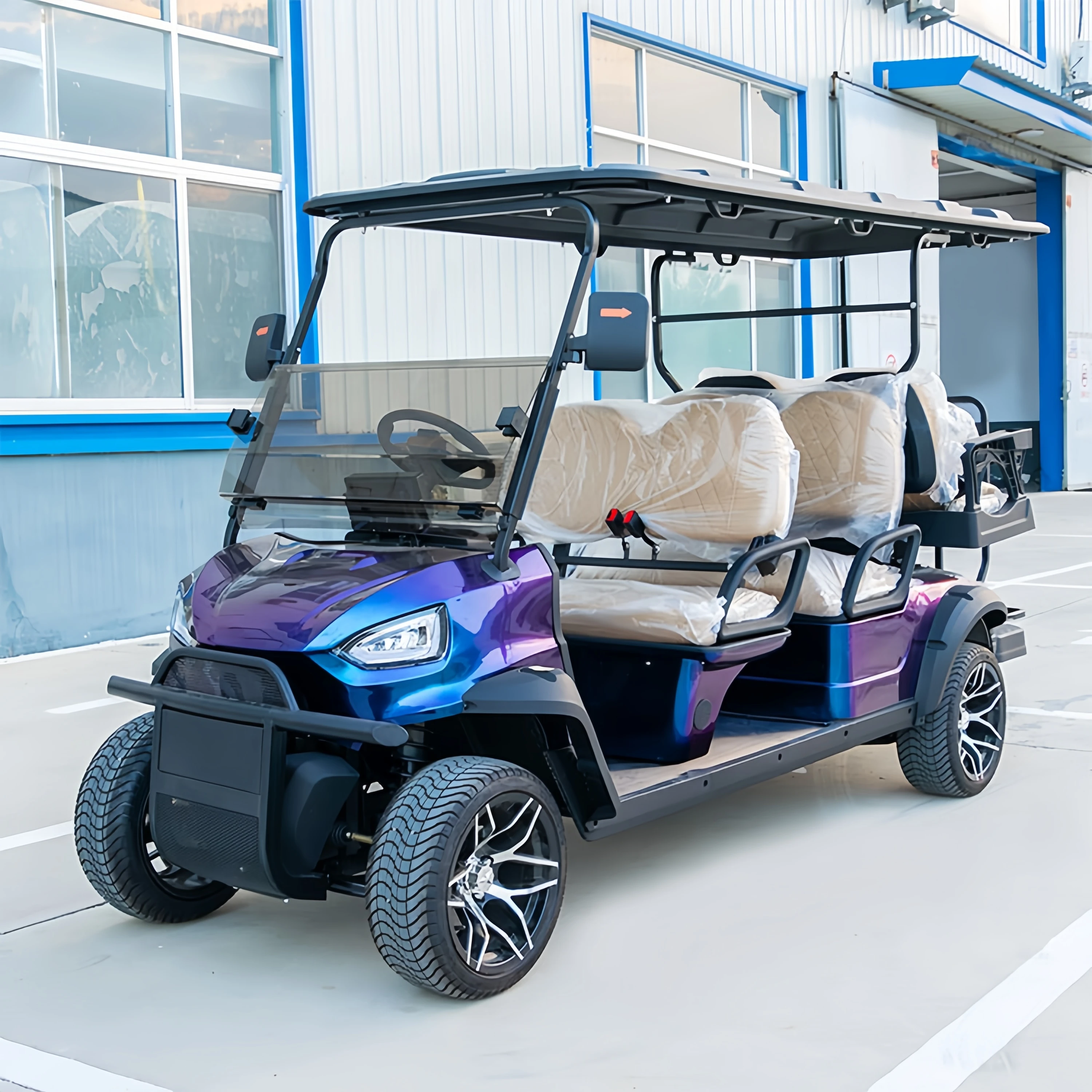Solar Panels Club Car Electric Battery Factory Price Golf Cart Golf Buggy Witb Big Tire