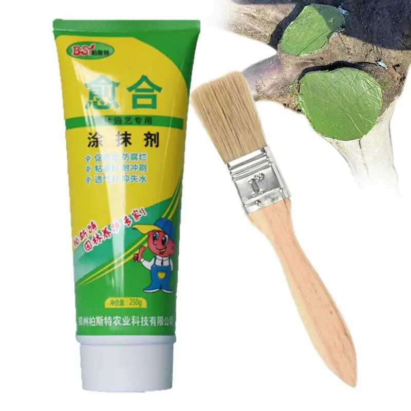 

Tree Sealer 250g Tree Wound Pruning Sealer And Grafting Multifunction Tree Wound Pruning Sealer Bonsai Gardening Sealer Pruning