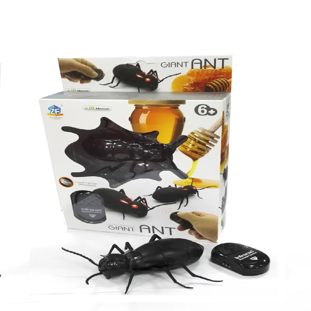 ant
