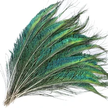 20 pçs belas penas de pavão natural 30-35cm premium esmeralda plumas para decoração de vaso de parede de casamento artesanato diy acessórios