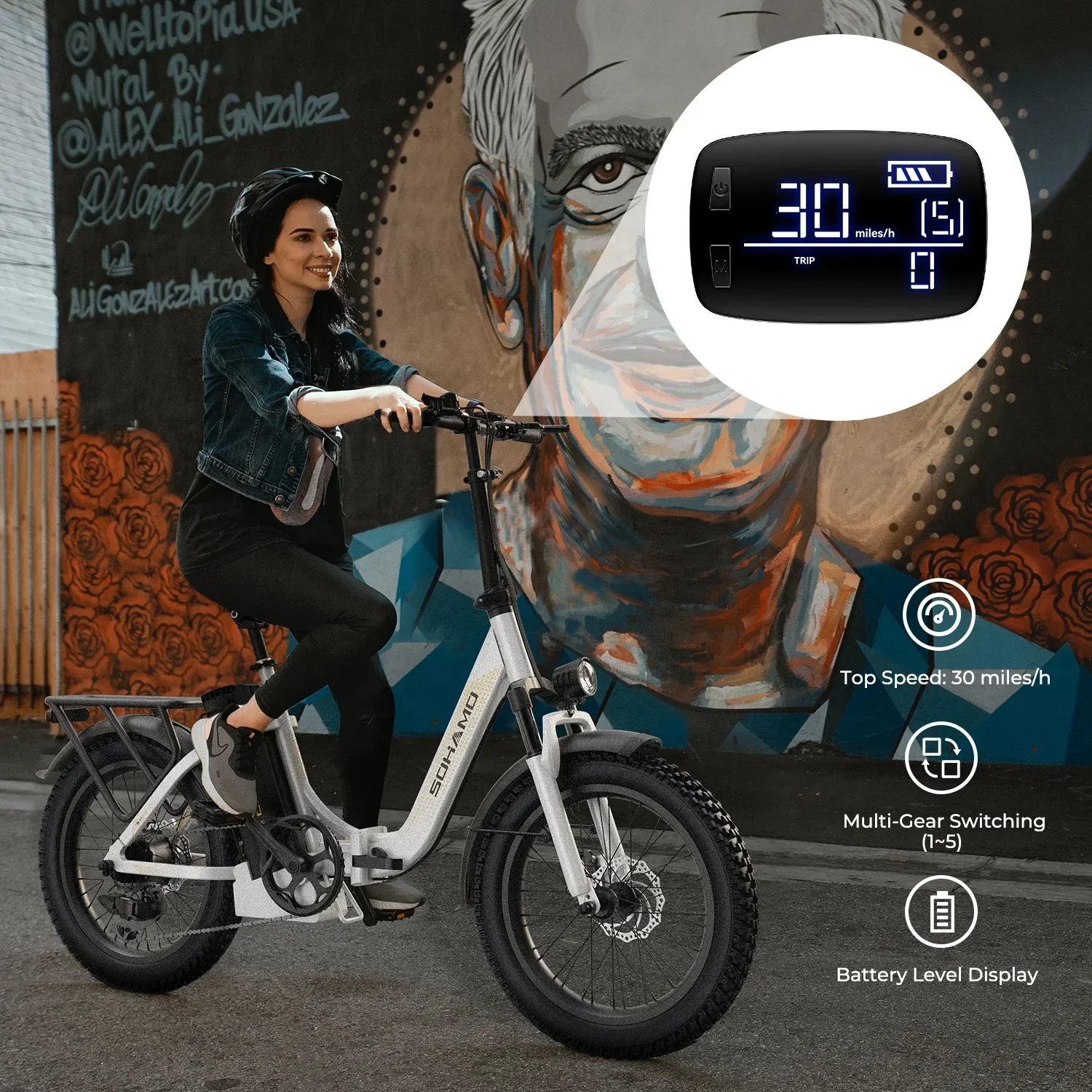 Electric Bike Electric Bicycle Ebike S3 750W 20Ah 48V Lithium Battery Electric Bicycle Hub Motor Adult Women's Electric Bicycle Beach City