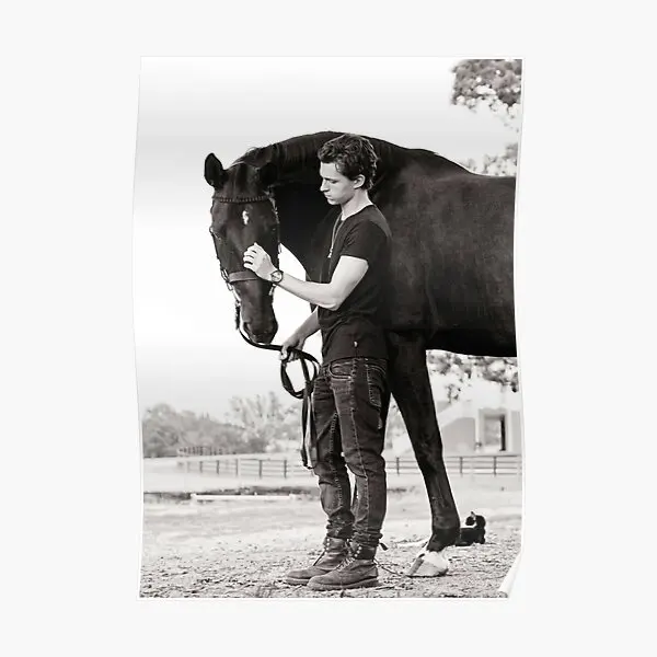 

Постер с изображением черной лошади Тома Голландии, украшение комнаты, современный принт, винтажная Настенная роспись для дома, художественный декор, смешная картина без рамки