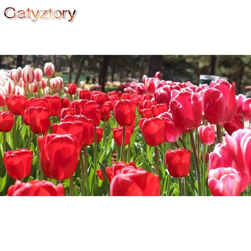 

GATYZTORY Acrylic Picture Paint By Numbers With Frame Red Flowers Painting Drawing On Canvas Handicrafts For Home Decors Diy Ide