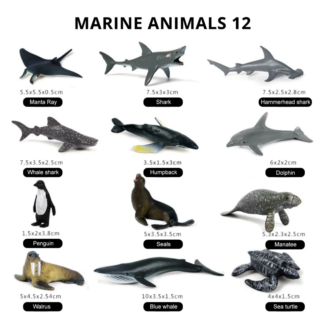 Mayitr Pces Simulação Animal Selvagem Modelo Oceano - Aves Inseto Animais Educacionais Modelos Figuras Brinquedos Conjunto 12 2 Computers & Electronics