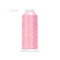 1816 Pink Tulip