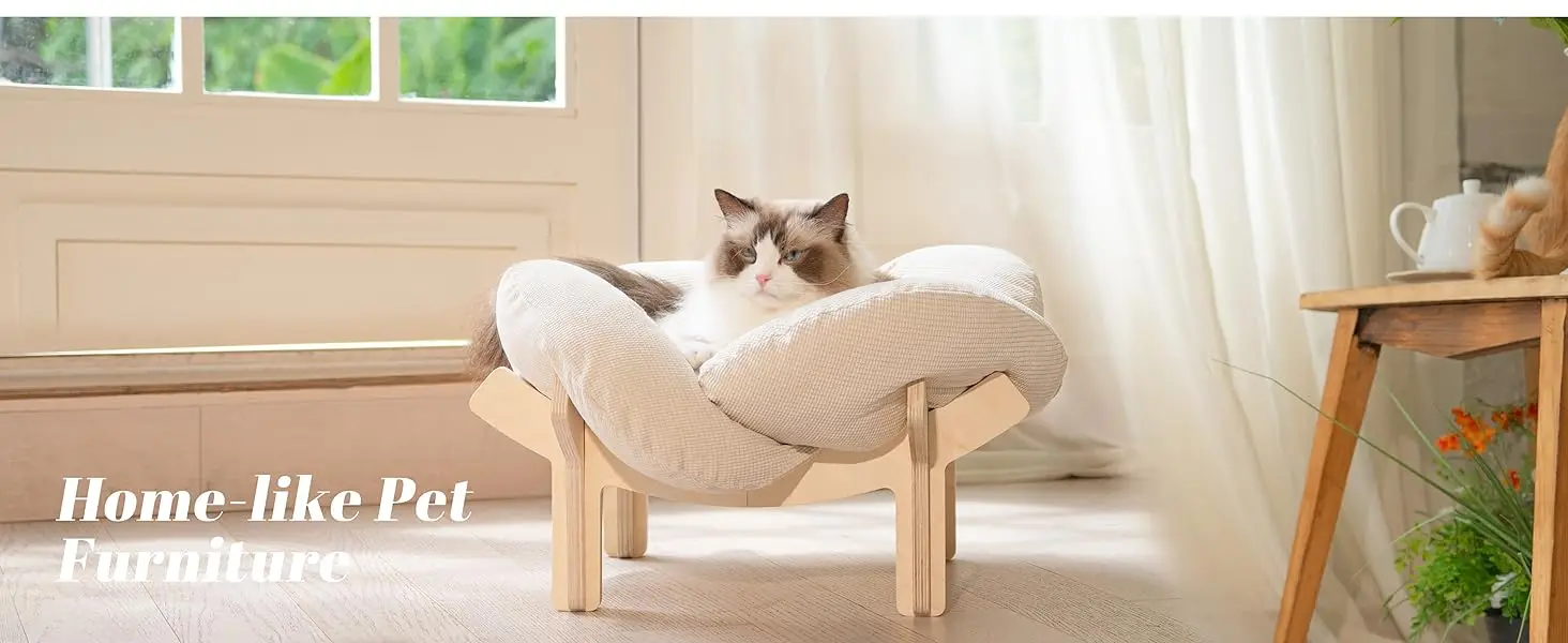 cat bed