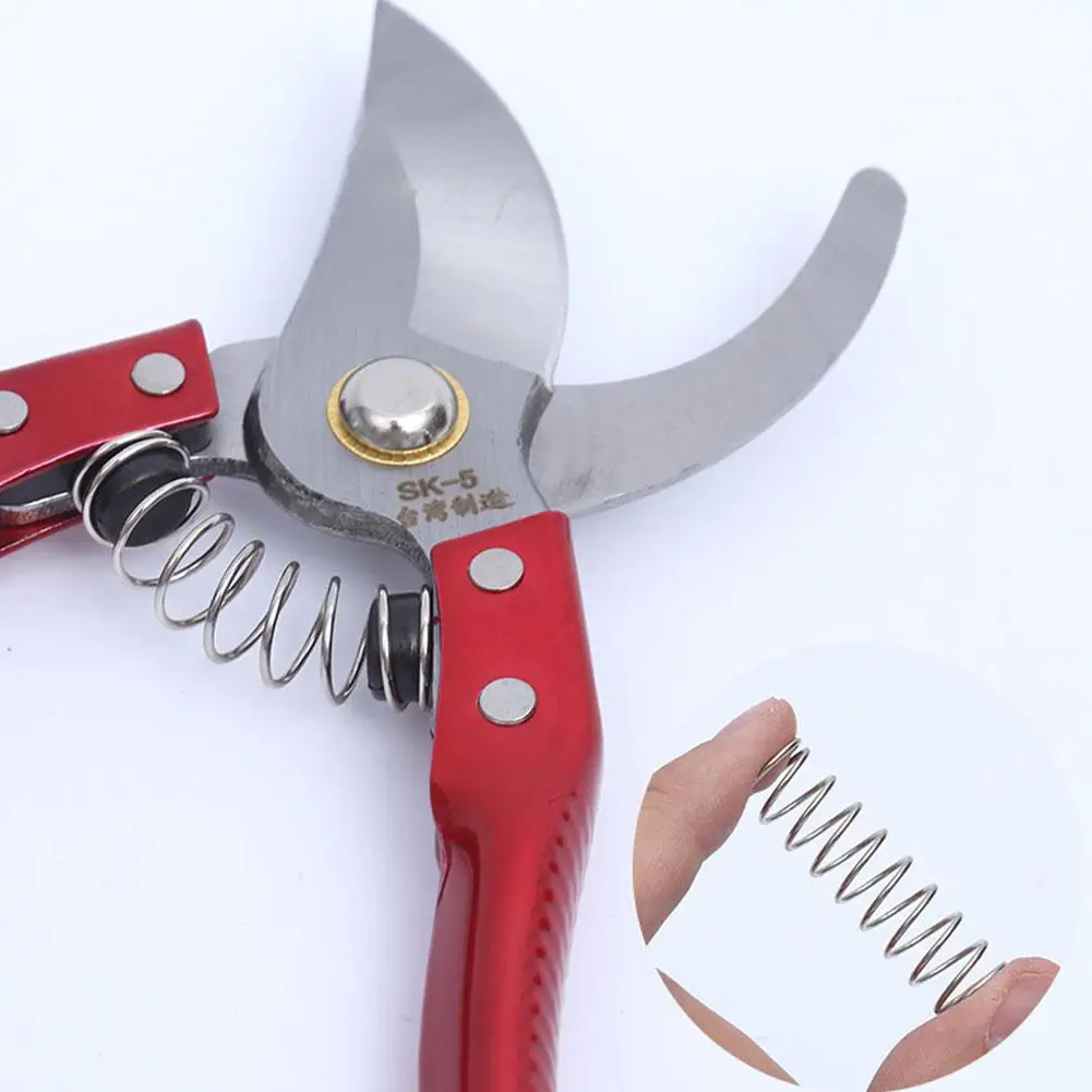 Set di 5 Molle di Ricambio in Acciaio Inox per Forbici da Potatura, Strumento per Innesto, Ricambio per Attrezzi da Giardinaggio - immagine 4