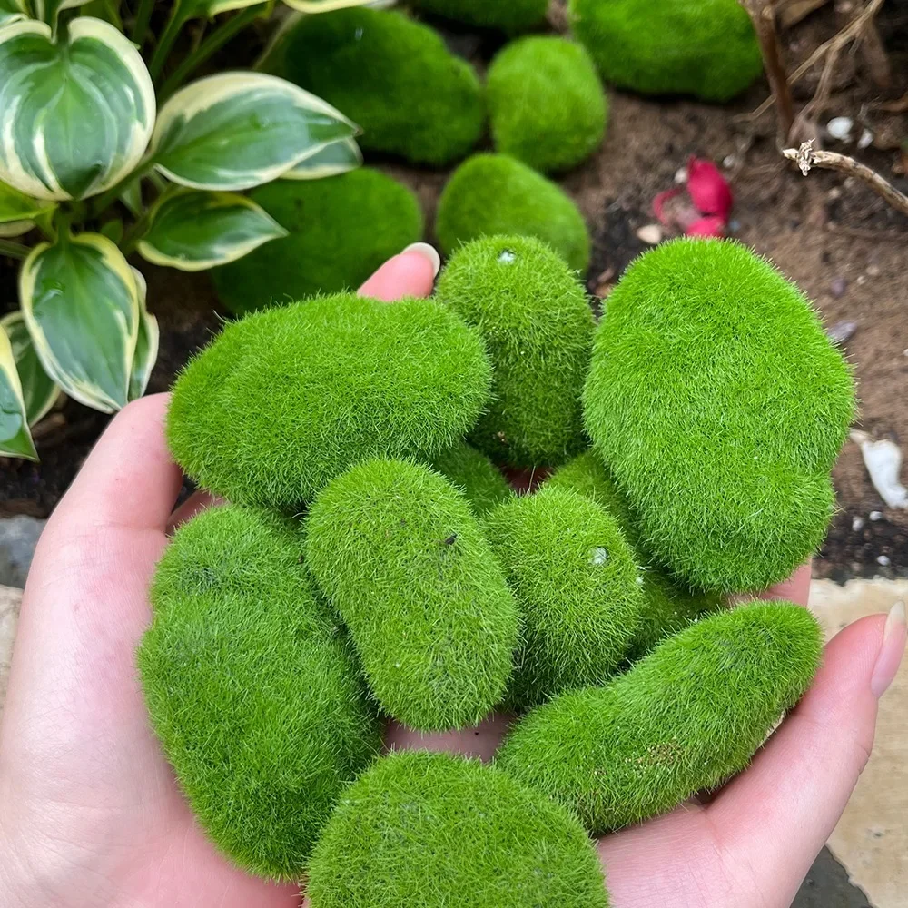 50/5PCS Artificial Foam Moss Rocks Fake Green Moss Stone Micro Landscape DIY Crafts for Home Garden Flower Pot Decoration Stone 5