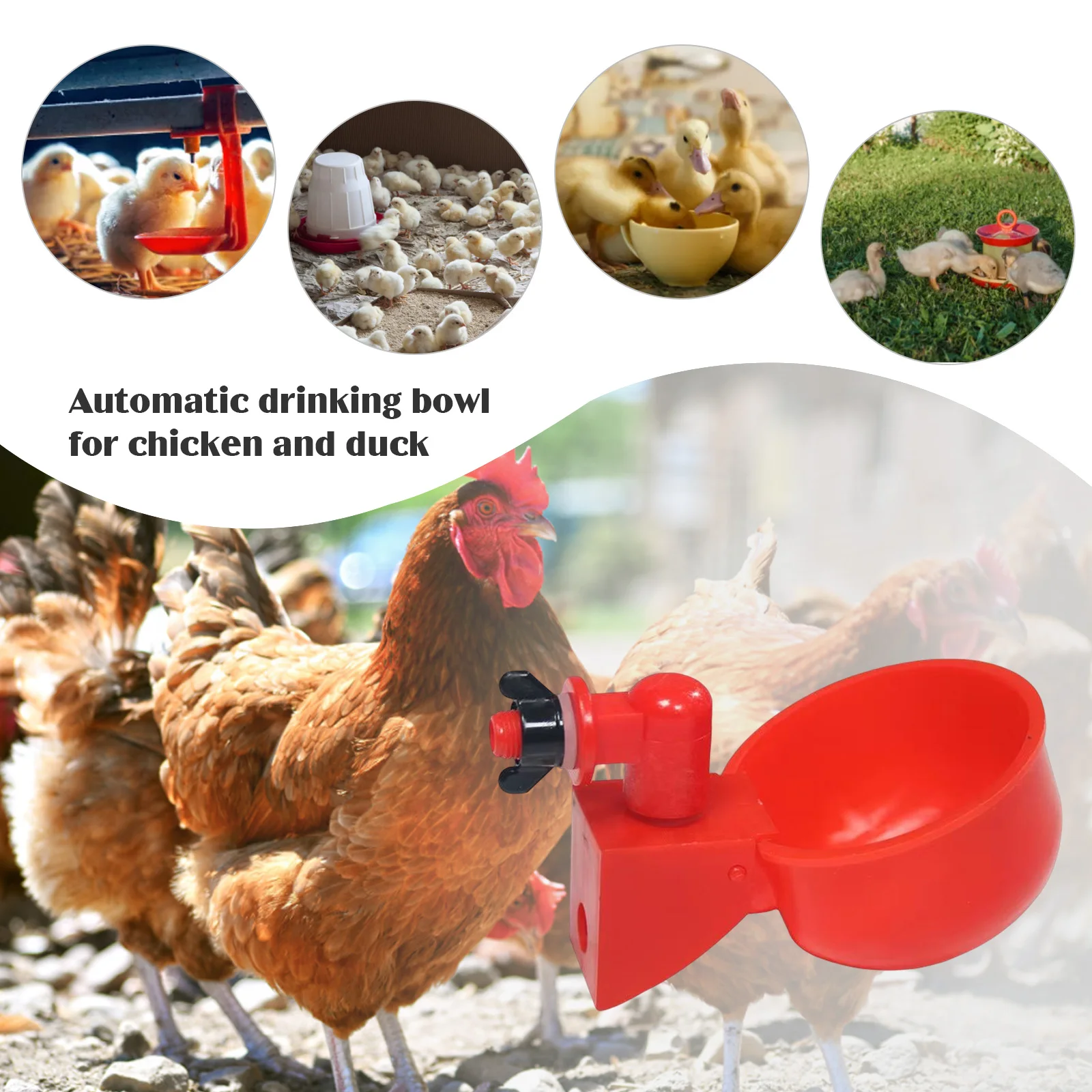 6pcs Poultry Drinking Fountain Hanging Automatic Poultry Drinking Water Bowl Plastic Practical Convenient Tools Feeding Supplies