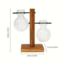 Vintage Glass Terrarium: Desktop Bulb Vase for Hydroponic Plant Display (C)