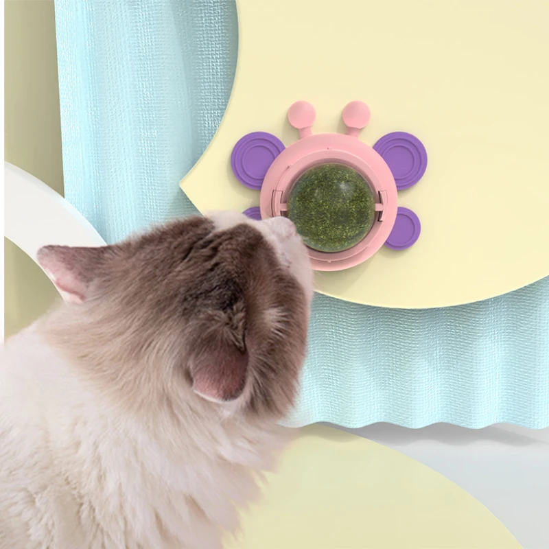 

Funny Cat Pet Toys Molar Cleaning Cat Supplies Catnip Mini Plush Toys Fashion Stuffed Interactive Pet Companion Products