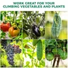 Garden Plant Trellis Netting Garden Square Mesh Netting for Climbing Plants Outdoor, Fruits, Vegetables, Vines, Grow Tents 2