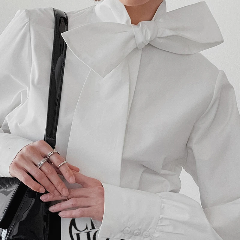 ̽ ȭƮ  콺,  ϴٿ Į,    , ĳ־ ǽ ̵, 2023  м