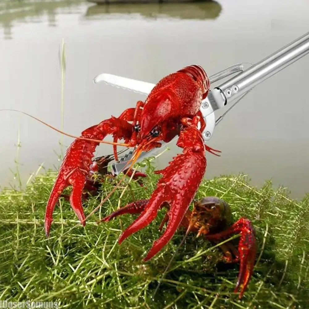 Slide image 9f91490d56ca4c92989aa96c4e121757