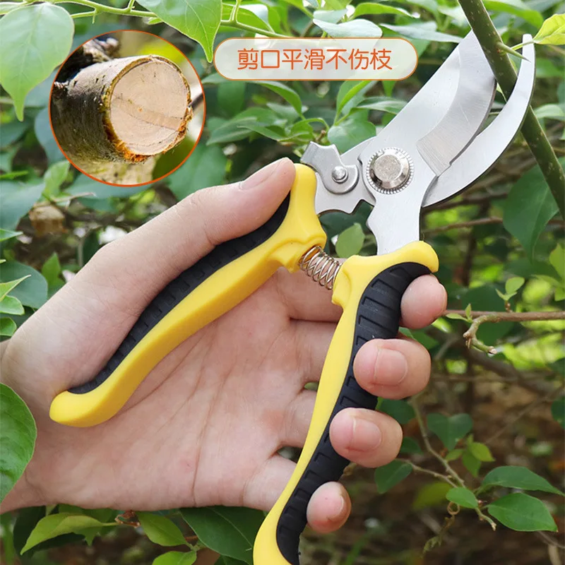 

Pruning Fruit Tree Pruning Scissors Gardening Scissors Tree Branches Garden Labor-saving Scissors Household Tool