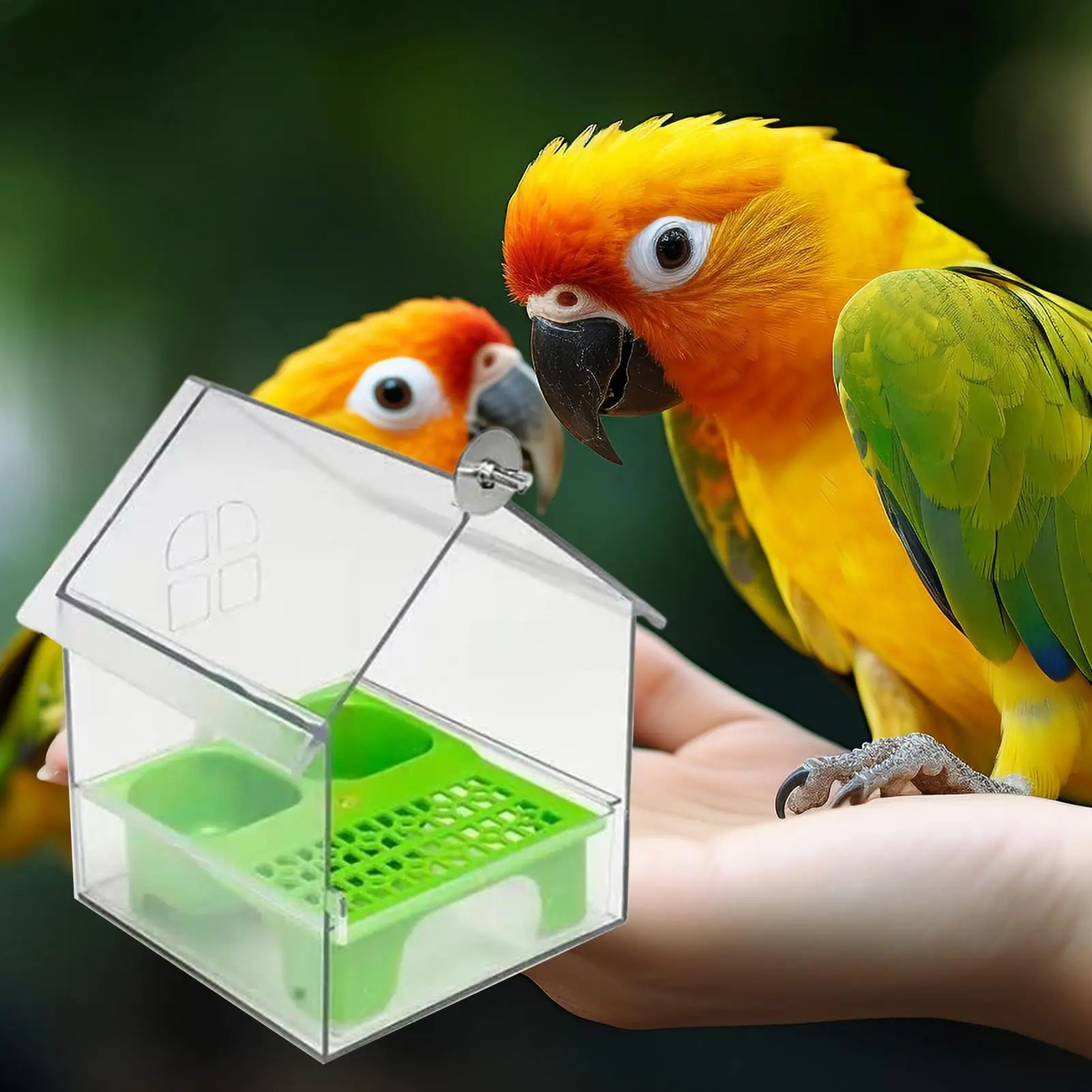 Bird Feeder Birds House For Outdoor, Window Bird Feeder For Wild Birds, Bluebird Bird Feeder House