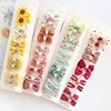 10Pcs/Set Baby Hair Clips Baby Headband Accessories Cross Kid Hair Clip Cotton Girl Hair Clip Baby Barrettes Hair Accessories 1