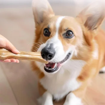 2-10 Inch Pet Dog Snacks Crispy Beef Stick Bone Teething Snacks Delicious and Nutritious Meaty Bone Crispy Pet Food Dog Food 4