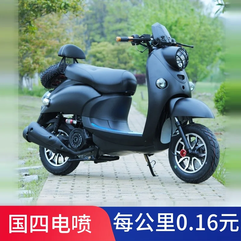 Lithium Battery Turtle King Ebike Price TLL Pedal Motorcycle Fuel