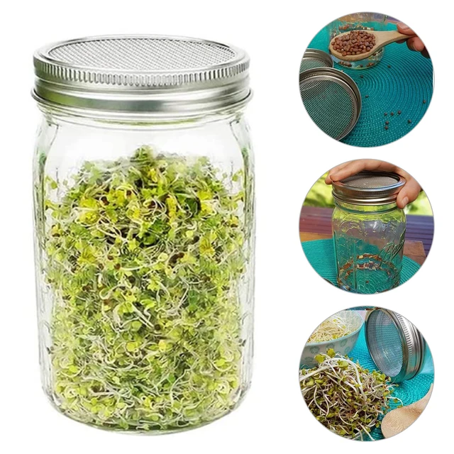 Kőműves Edény Csírázó Fedelek Óvodai Rozsdamentes Acél Vetőmag Hálószűrő Szűrő Jar Kerti Üvegház - Image 3