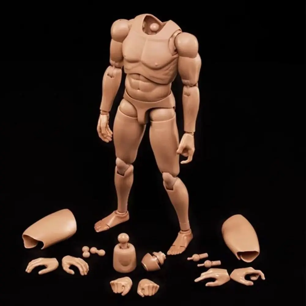 

2 цвета 1/6 Европа кожа новая мужская фигурка кукла подходит 1:6 голова Лепка 12 дюймов