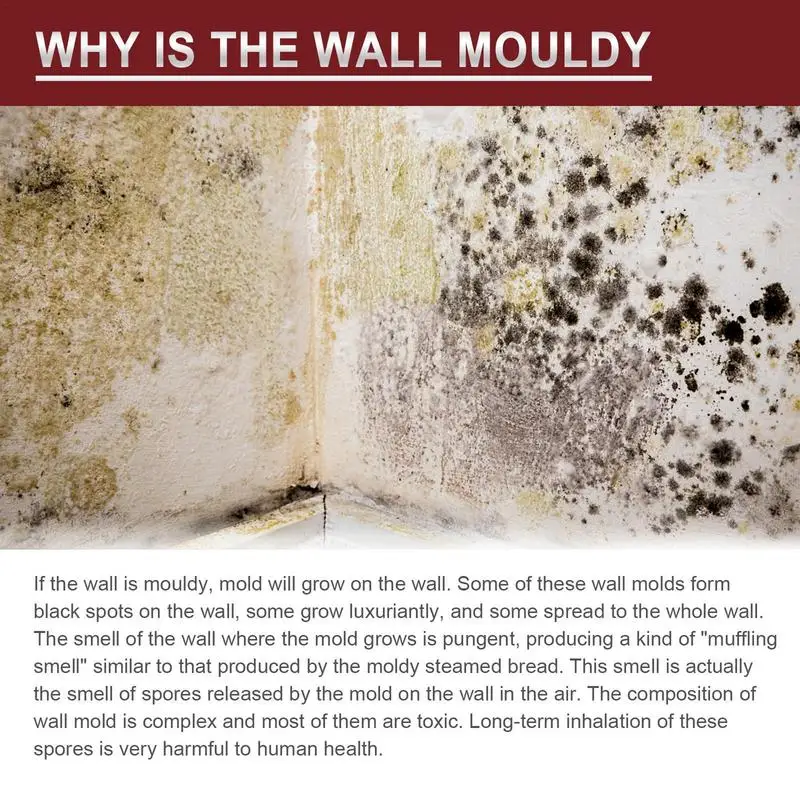 Mildew Removal Spray All-purpose Active Foam Mildew Cleaner Mold Stain Remover Spray For Wall Wood Floor Bathroom Tile Mattress 5