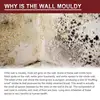 Mildew Removal Spray All-purpose Active Foam Mildew Cleaner Mold Stain Remover Spray For Wall Wood Floor Bathroom Tile Mattress 5