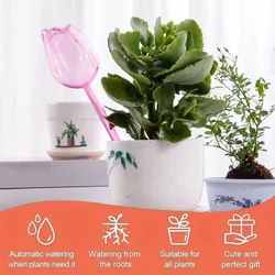 Elegant Tulip Self - Watering Globes for Indoor and Outdoor Plants (1pc)