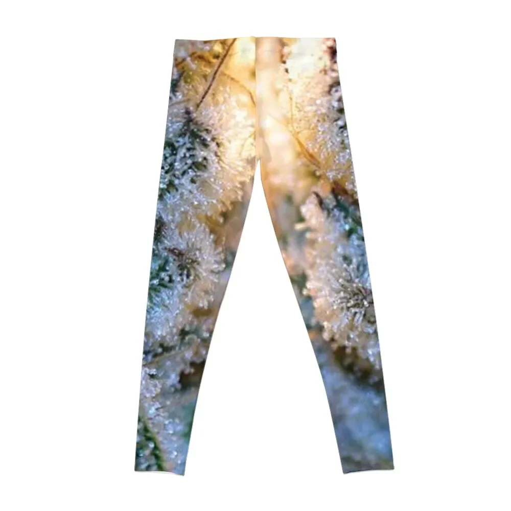 Trichome 6 Leggings sports for push up fitness gym womans Womens Leggings