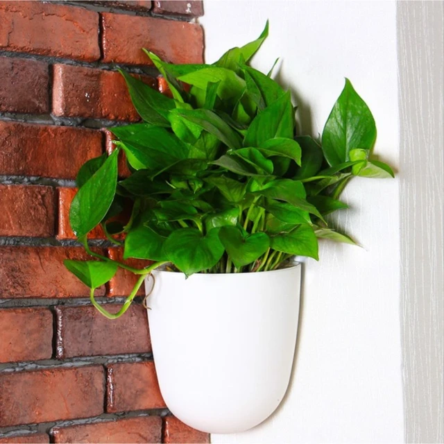 Pot de Fleurs Mural en Plastique Absorbant l'Eau, Nik, existent, Succulent,  Aneth Vert, Petite Plante Verte - AliExpress