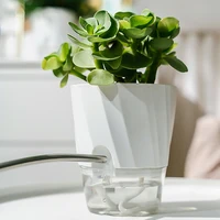 Lazy Hydroponic Flower Pot Automatic Water-Absorbing Flowerpot Transparent Double Layer Plastic Self Watering Planter Office 3