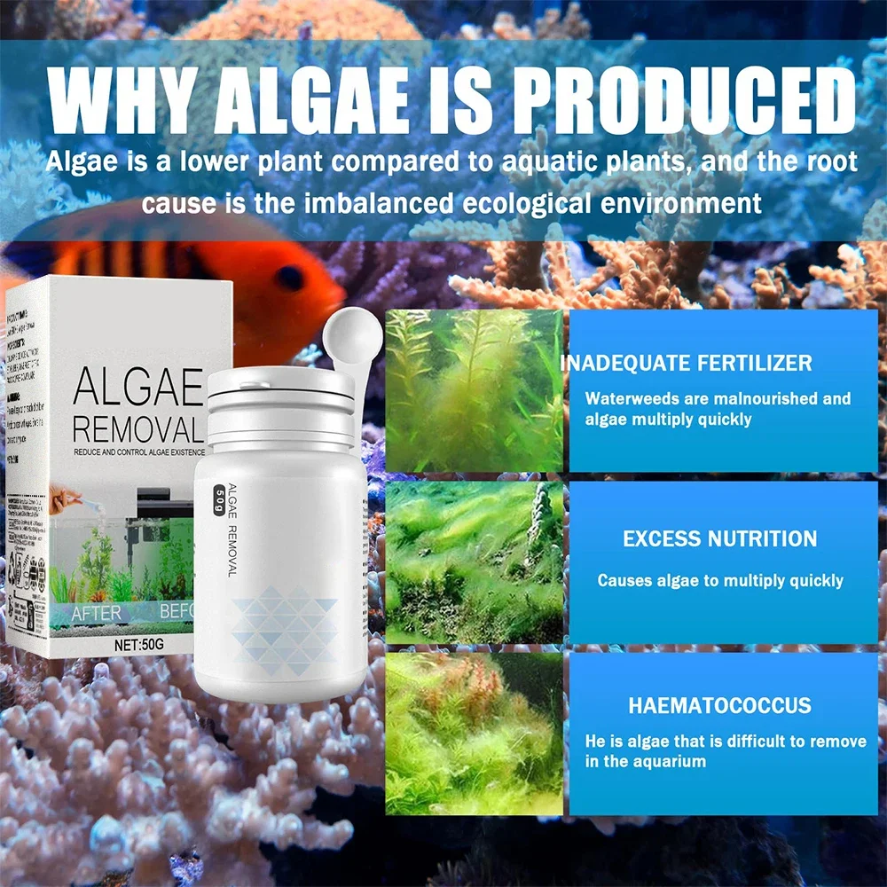 algae remover moss remover fish tank fish pond aquarium green algae bactericidal removal improving water transparency 50g