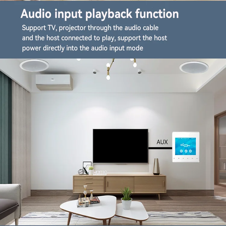 Indoor Background Music System Home Hotel Architecture Apartment Villa Blue tooth Connection Wall Amplifier With Touch Key