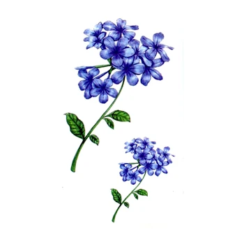 Plumbago Auriculata fiore impermeabile tatuaggio temporaneo adesivi Body Art hennè tatuaggio adesivo falso Tatoo donne