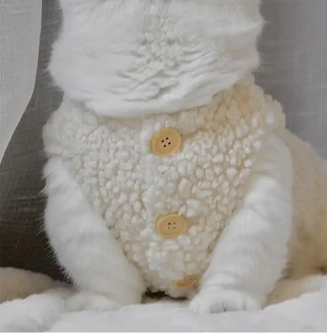 고양이 옷, 따뜻한 양털 조끼, 가을 겨울 테디 포메라니안 애완동물 겨울 옷, 귀여운 한국 옷