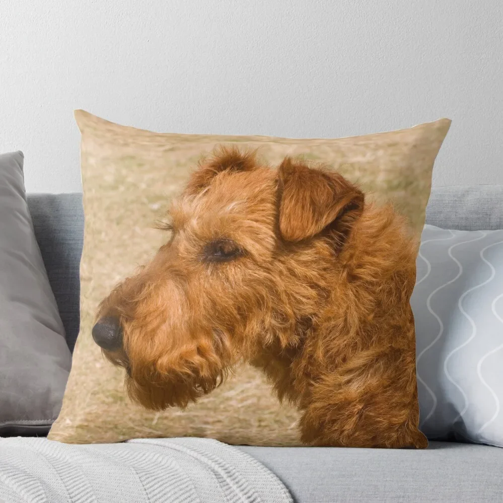 

Irish Terrier Throw Pillow Christmas Pillow Cases Anime