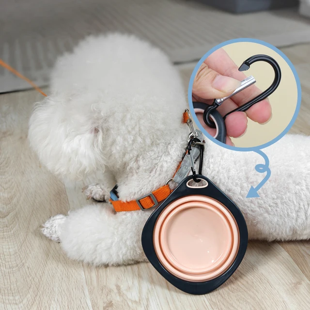 Pet Folding Silicone Bowl Collapsible Pet Outdoor Travel Portable Puppy Food Feeder Dish Bowl Silicone Dog Feeder Bowl 3
