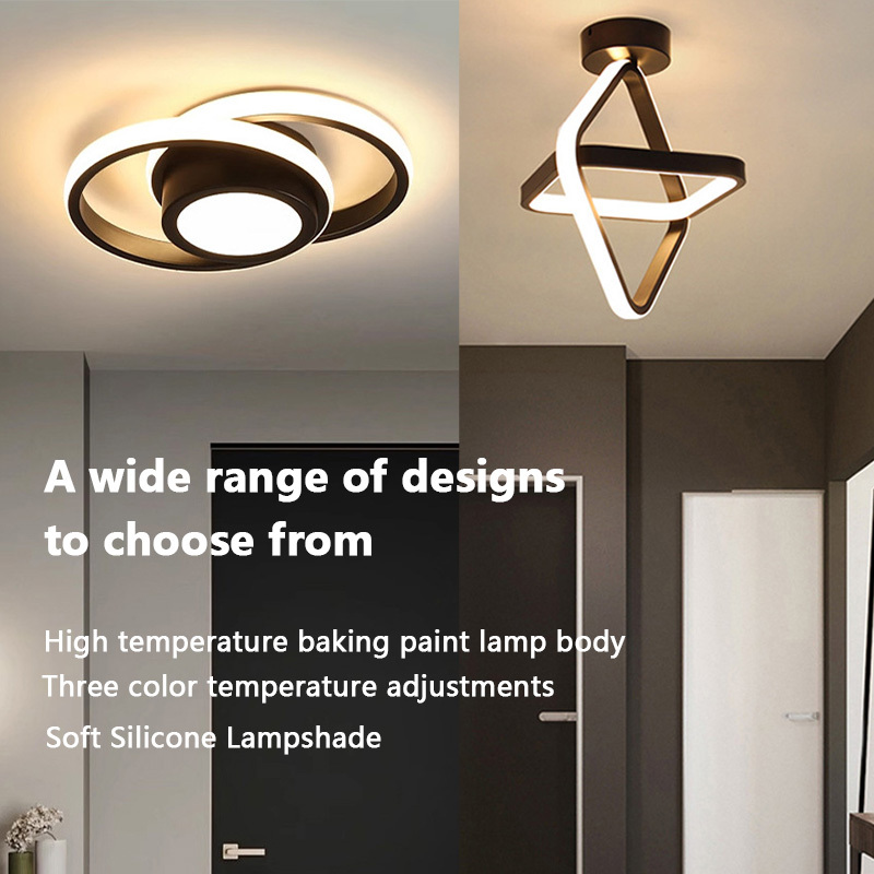 Modern Simple LED Petal Ceiling Lamp Electrodeless Dimming 3-Color Dimming Bedroom Kitchen Living Room Hotel Balcony Hotel Lamp