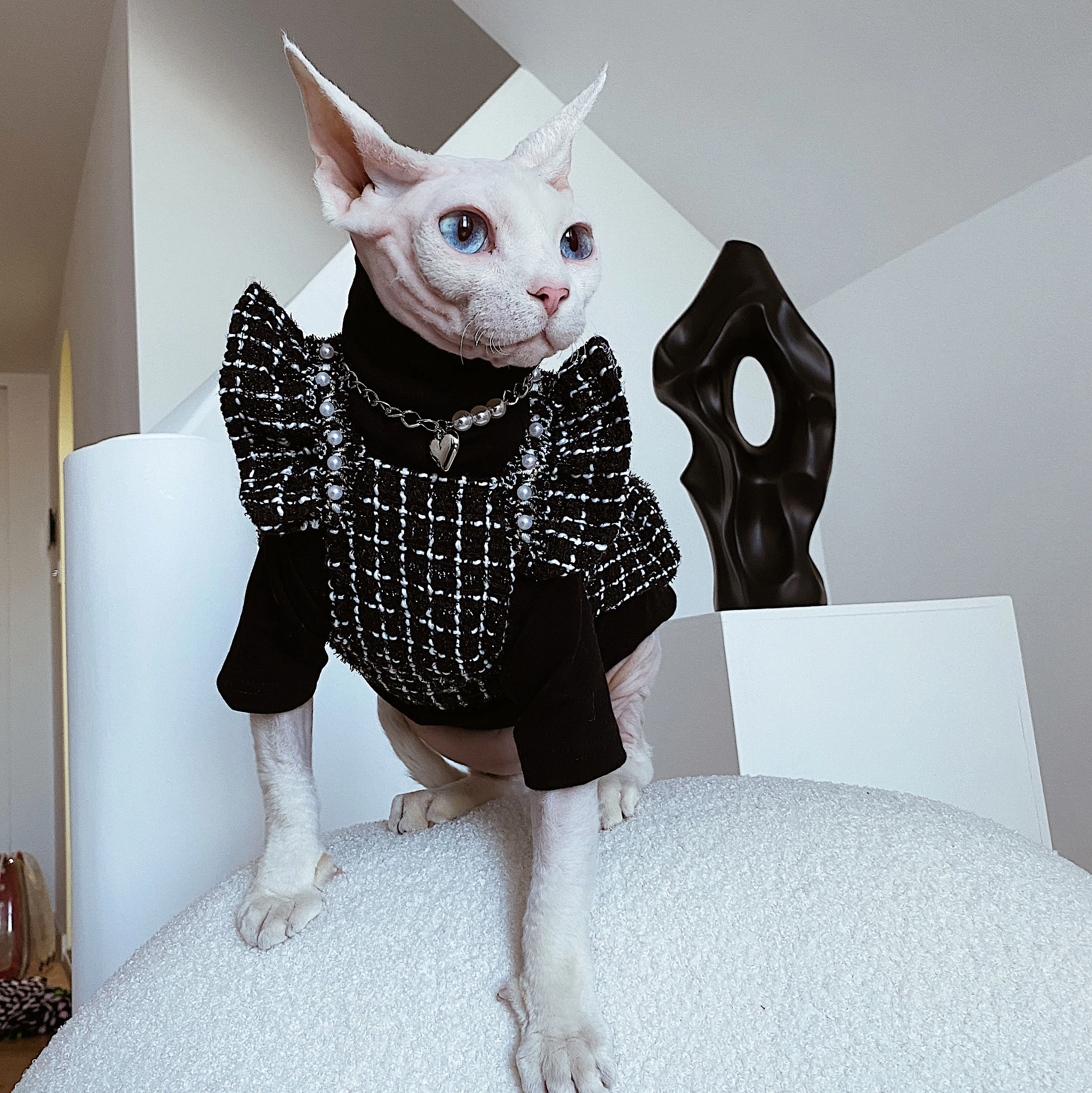 compañero Resolver Tormenta Vestido de lujo de princesa para gato, suéter con cuello de tortuga, ropa  para mascotas|Ropa para gatos| - AliExpress