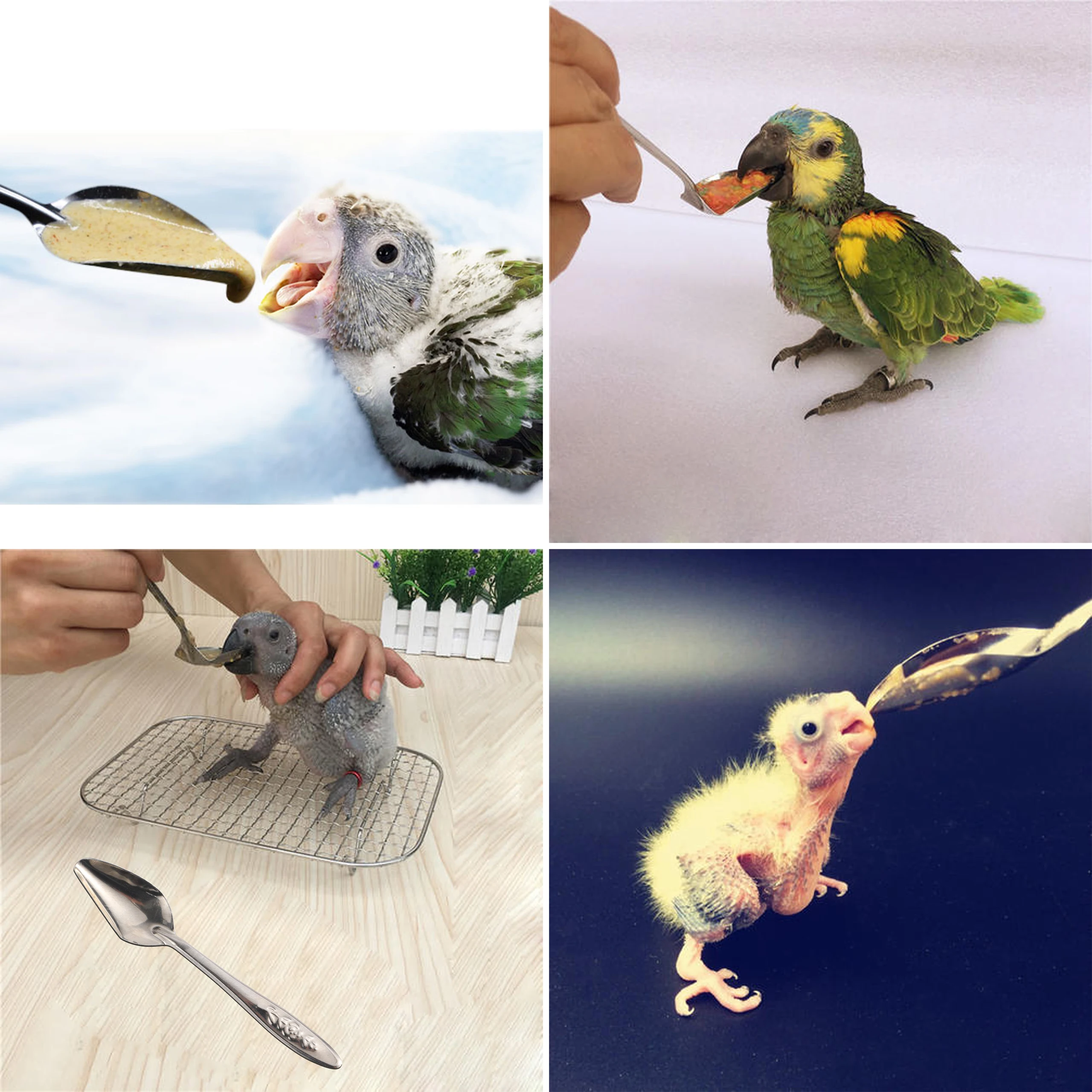 Bird Feeding Syringe With Feeding Spoon Plastic Chick Animal Parrot Pigeon Feed Syringe Pet Tool 60/100/150ML