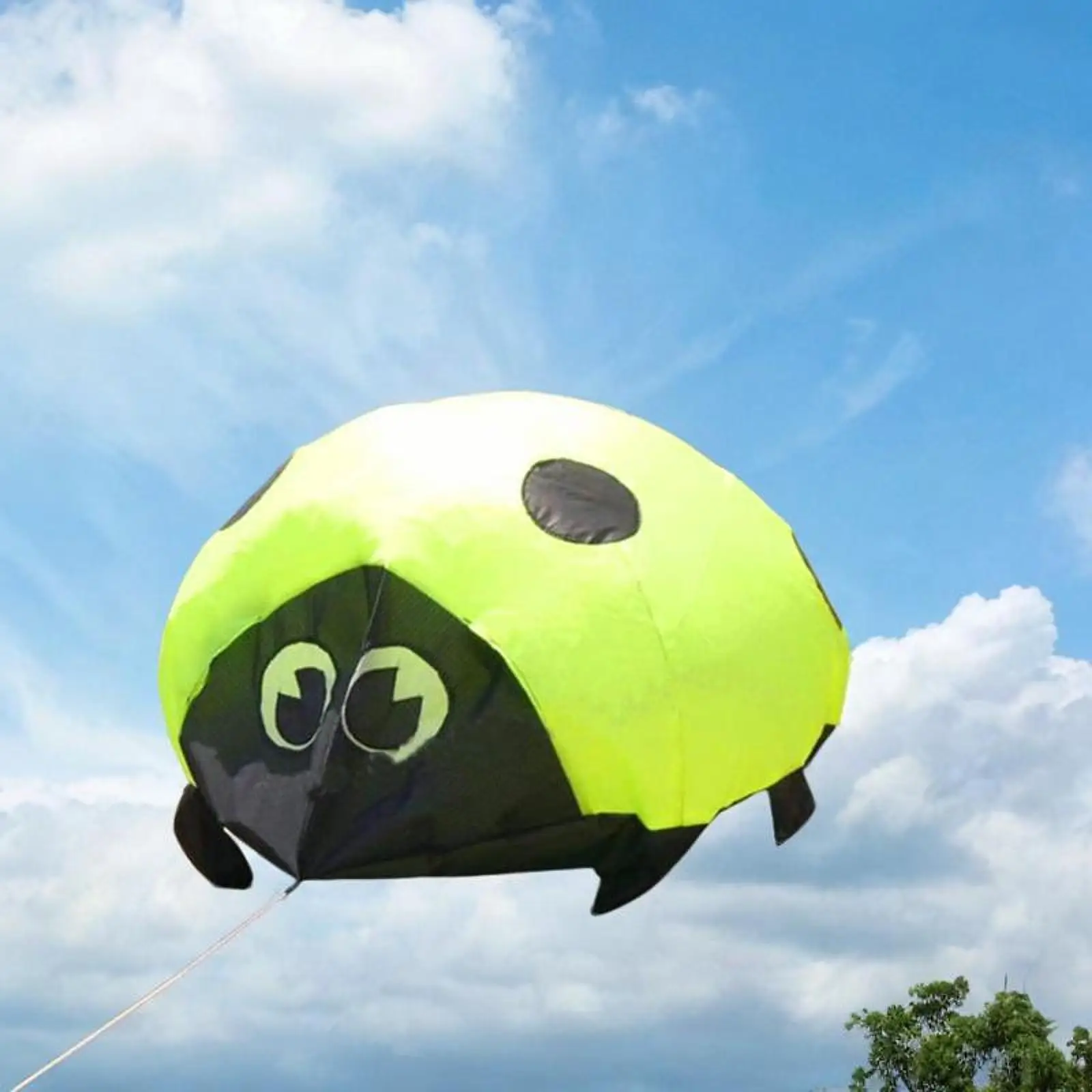 3D Kite Large Ladybird Gift Outdoor Sports Toy for Sports Activities Adults