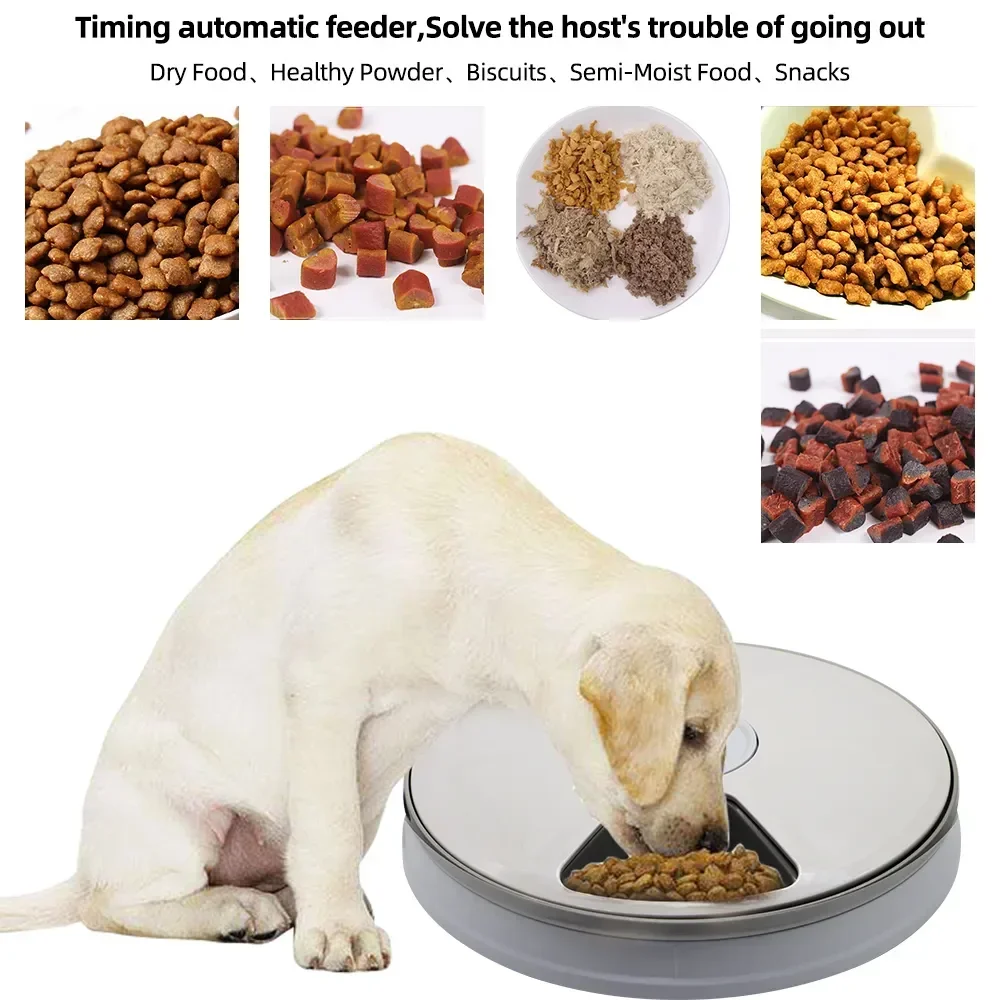 

Recorder Voice Dry Food Timing With Wet 6 Electric Dispenser Grid Pet 24hour Feeder Round Automatic